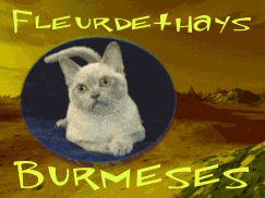 thays.gif (14 Ko)