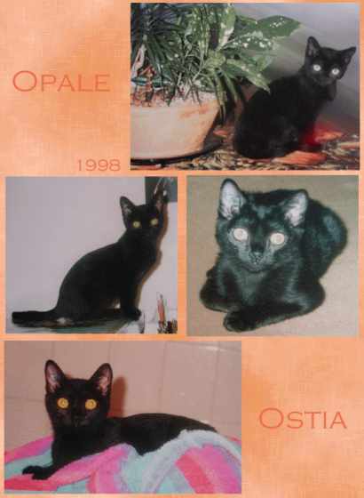 opale et ostia