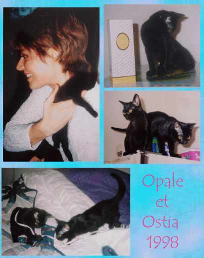 ostia et opale